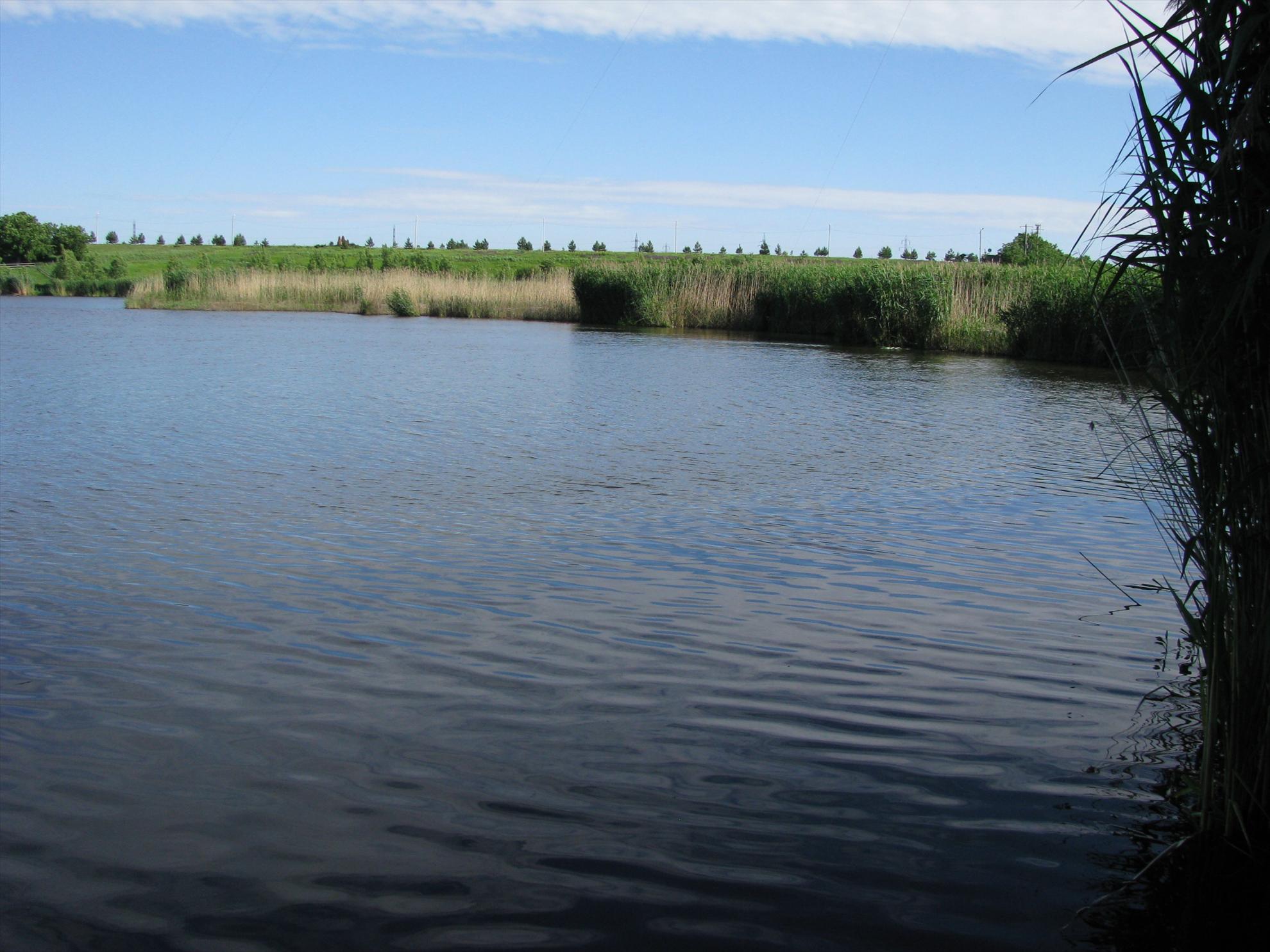 Poze Tancabesti-Dr. Bradu 1-3 iunie 2012 - img0041.JPG